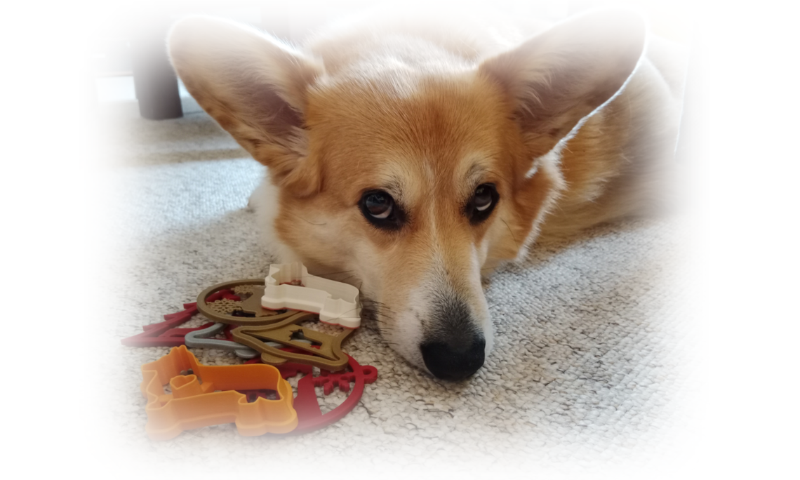 Corgi s ozdobou